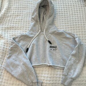 Cropped Lottie Hoodie